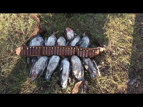 Видео: Открытие Осенней Охоты 2023                                                        #осенняя#охота#