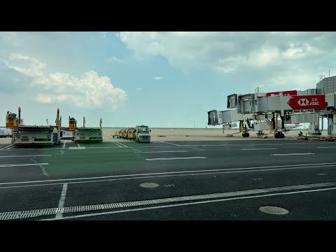 Видео: Лечу в #Японию