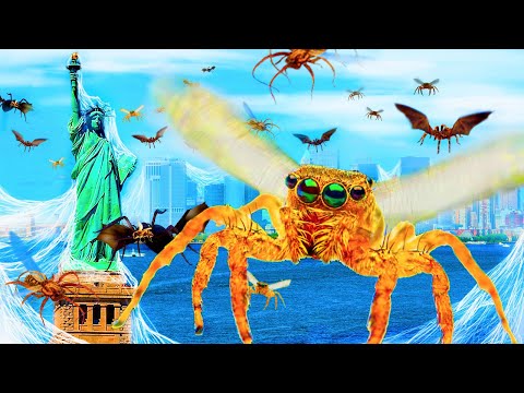 Видео: Что, если бы у пауков выросли крылья, и они научились летать?