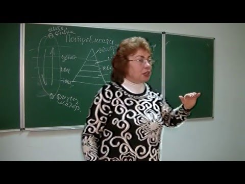 Видео: Потребности, формирование, мотивация. Правда и заблуждение. Психолог Наталья Кучеренко. Лекция № 30.