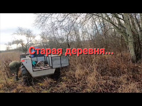 Видео: В поисках клада. Выезд по старине. Металлокоп.