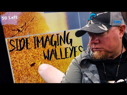 Видео: Как на самом деле выглядят судаки на боковом изображении