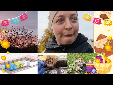 Видео: Новий матрац/Дощова осінь/Повторна адаптація до садочку/Робота в дворі 