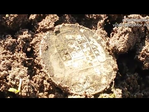 Видео: Поиск сокровищ.Коп.Серебрянные монеты.Minelab safari.