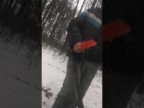 Видео: Quest Q20 против X-Terra 705.