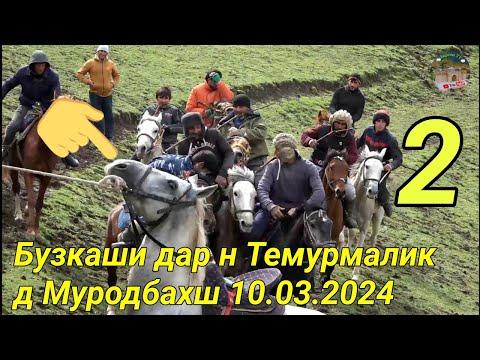 Видео: Бузкаши дар н Темурмалик д Муродбахш 10.03.2024 Кисми 2