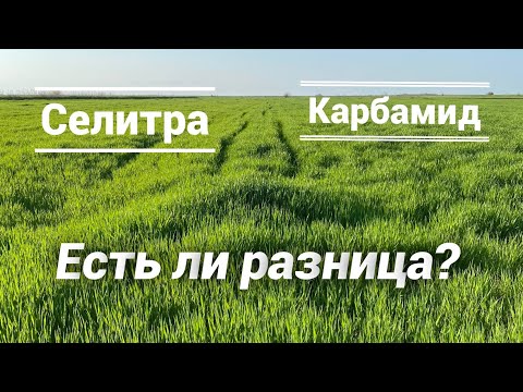 Видео: Разница между подкормками/ карбамид или селитра