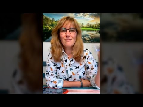 Видео: Вопросы о бонсай (запись прямого эфира).