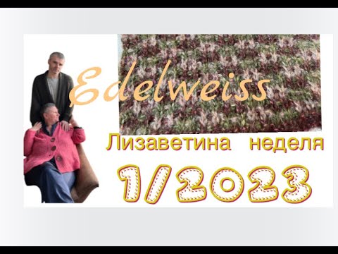 Видео: Лизаветина неделя 1/2023. Эдельвейс