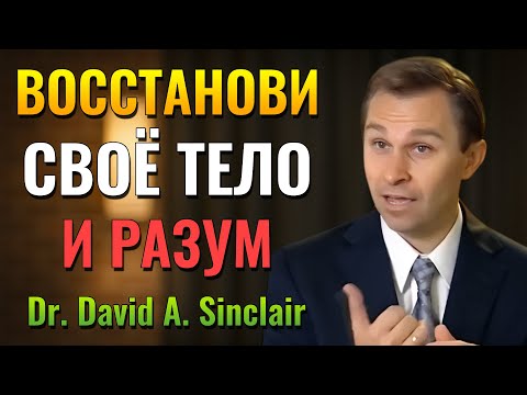 Видео: Как укрепить тело и разум с помощью натуральной смеси (д-р Дэвид Синклер)