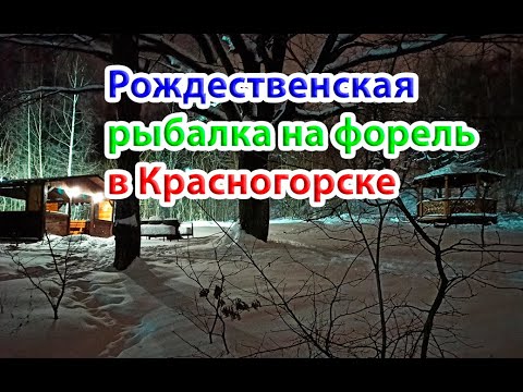 Видео: Рождественская рыбалка на форель на спортзоне Красногорска