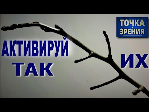 Видео: ПРОБУДИ ПОЧКИ НА ЦВЕТОНОСЕ ОРХИДЕИ ТАК - ПОЛУЧИШЬ РЕЗУЛЬТАТ 👍! НОУ-ХАУ МЕТОД АКТИВАЦИИ МЕРИСТЕМ! 👍