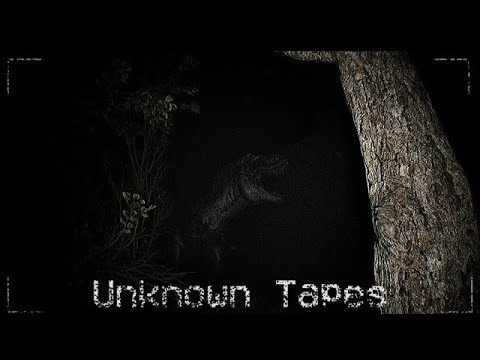 Видео: Я обосрался !! Они живые! Unknown Tapes
