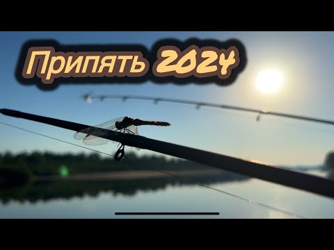 Видео: Лещи Не Дают Покоя | Впервые Вижу Такого Леща | Рыбалка На ПРИПЯТИ 2024