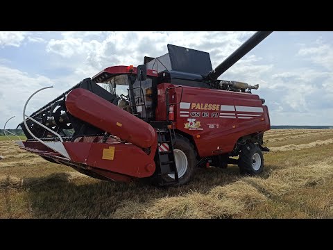 Видео: Подготовка комбайна Палесье GS-12A1 к уборке