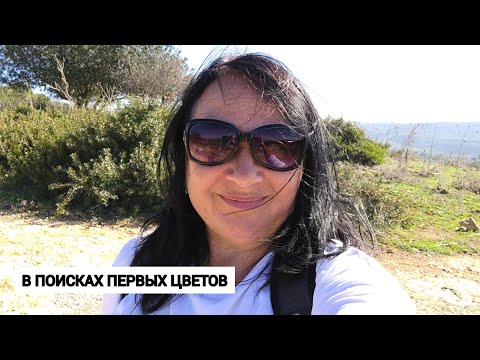 Видео: Та самая Швейцария Израиля. Открой для себя парк Кармель