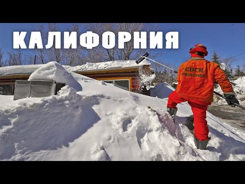 Видео: МЫ НАШЛИ СНЕГ, ЖИЗНЬ В КАЛИФОРНИИ