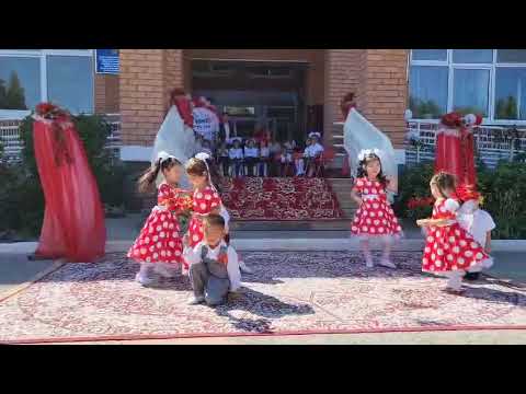 Видео: 14 октября 2025 г.