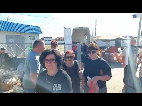 Видео: Осенняя прогулка 2024! 11ч. Родина! г.Осиповичи. Фонтан и жилой район БАМ.