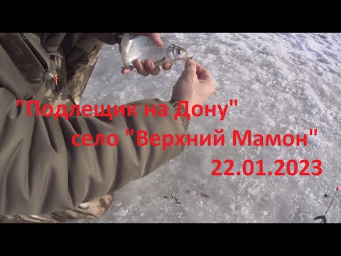 Видео: "Подлещик на Дону", 22.01.2023, река "Дон", село "Верхний Мамон""
