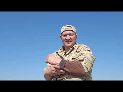 Видео: Разведка Белый камень 21.02.2023.