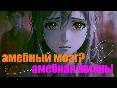 Видео: Амебный мозг - амебная жизнь. Как не превратиться в засохший скучный овощ к 30 годам?