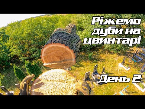Видео: Ріжемо дуби на цвинтарі день 2