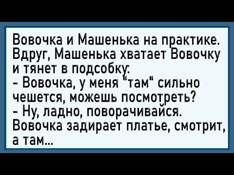 Видео: Как Вовочка почесал Машеньке! Сборник свежих анекдотов! Юмор!