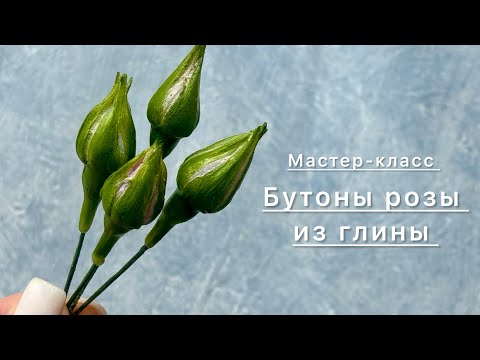 Видео: Бутоны розы из глины мастер-класс