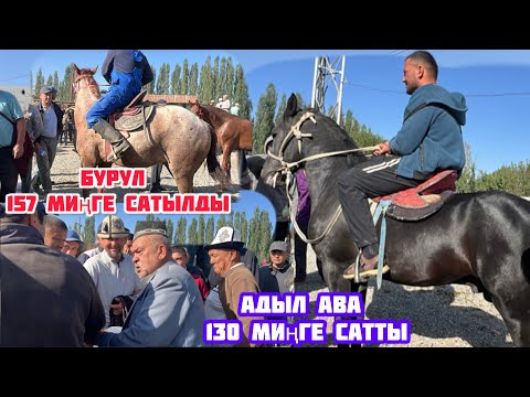 Видео: НООКАТ ЖЫЛКЫ БАЗАРЫ 31 август  2025  Жыл