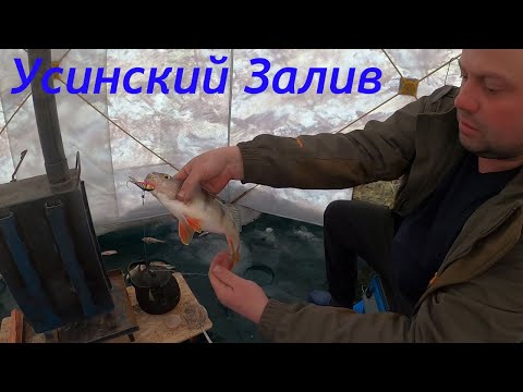 Видео: Огромные Стаи рыбы, крупные ОКУНИ и ЛЕНКИ разгибают крючки, в поисках трофеев с подводной камерой.