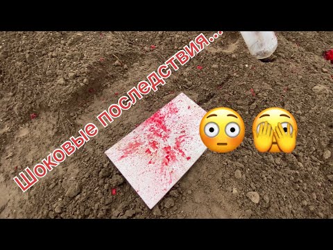Видео: Сравнение пуль 22lr на пробитие и экспансивность.. ч3