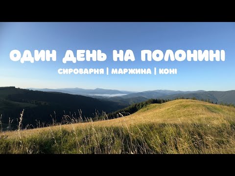 Видео: ОДИН ДЕНЬ НА ПОЛОНИНІ