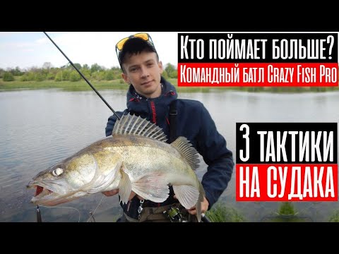 Видео: Кто поймает больше других? Командный батл Crazy Fish Pro. 3 тактики на одной рыбалке