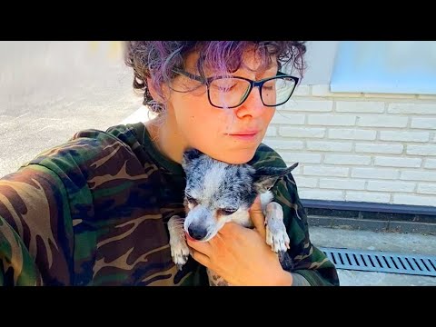 Видео: 3 дня до смерти Эйвана - что случилось?