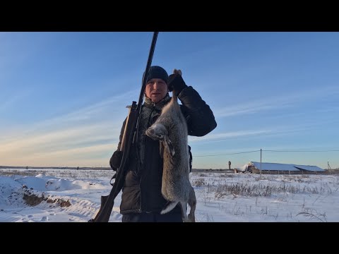 Видео: ОХОТА НА ЗАЙЦА С ПЯТИЗАРЯДКОЙ ATA ARMS NEO12. ТРОПЛЕНИЕ ПО СНЕГУ!!!