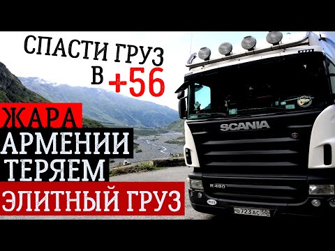 Видео: ШОК! Загрузка на рыбной ферме | Суровая жара АРМЕНИИ | ТЕРЯЕМ ЭЛИТНЫЙ ГРУЗ | Carrier подводит