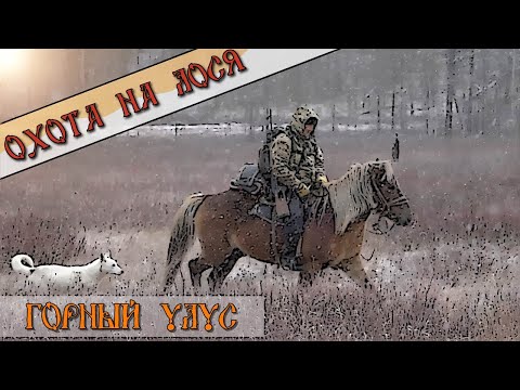 Видео: Потомственные охотники. Горный улус.