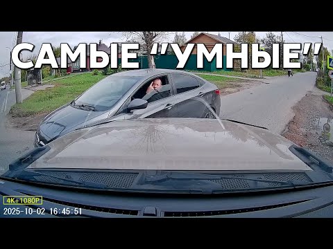 Видео: Подборка САМЫХ "УМНЫХ" водителей #1180
