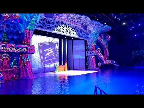Видео: москвариум шоу новогодний круиз  2часть