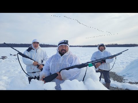 Видео: ОХОТА НА ГУСЯ НА КОЛЫМЕ 2023 ЧАСТЬ 1. GOOSE HUNTING IN SIBERIA 1. KOLYMA 2023  / GÄNSEJAGD IN KOLYMA