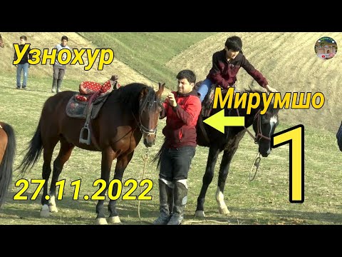 Видео: Бузкаши дар н Балчувон д.Узнохур Кисми 1 27.11.2022