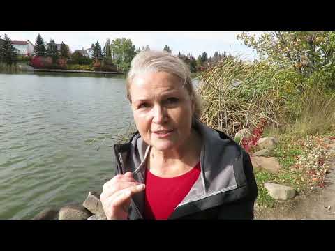 Видео: Почему и как стареют женщины и мужчины?