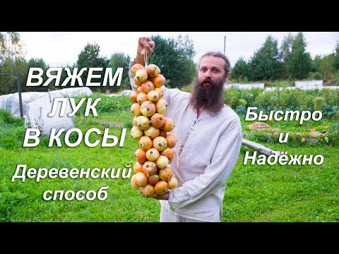 Видео: Вяжем лук в косы.Деревенский способ. Проверено временем.
