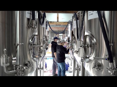 Видео: Процесс изготовления крафтового пива. Корейская деревенская пивоварня