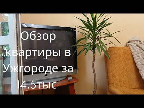 Видео: Обзор квартиры в Ужгороде за 14.5 тыс🏠ничего больше не радует😖😥Закрадывающиеся мысли...