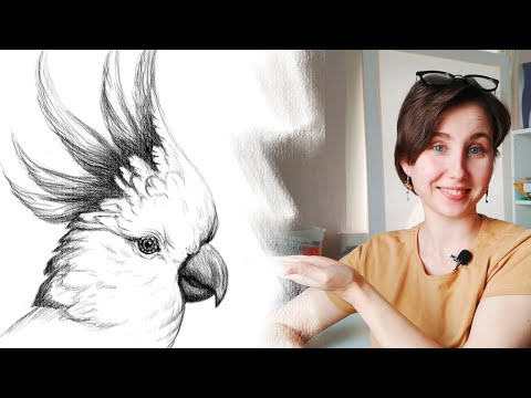 Видео: Как нарисовать попугая карандашом поэтапно. Скетчинг для начинающих