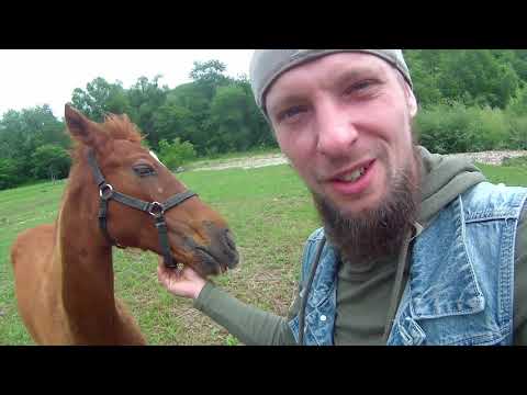 Видео: Юбилей МАСТЕРА