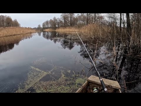 Видео: Рибалка на Стоході плотва підбилась під траву, сезон відкрито