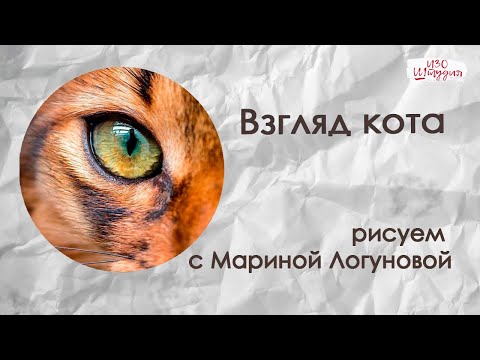 Видео: Взгляд кота акварелью